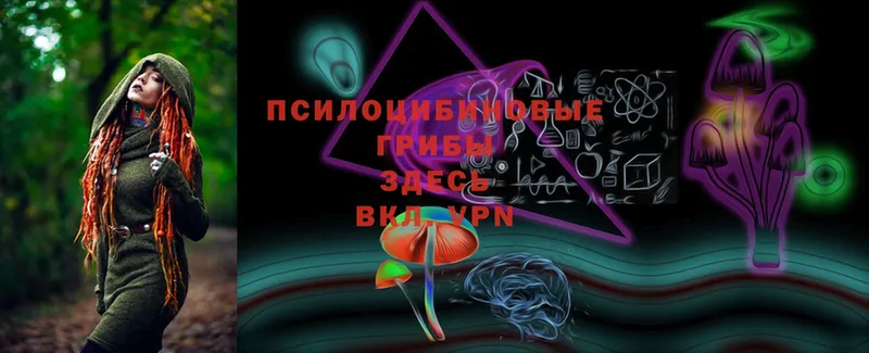 Галлюциногенные грибы Psilocybe  гидра   Ахтубинск 